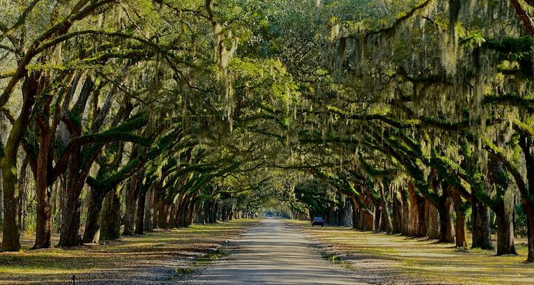 The Insider’s Guide to Savannah, Georgia - Over The Moon