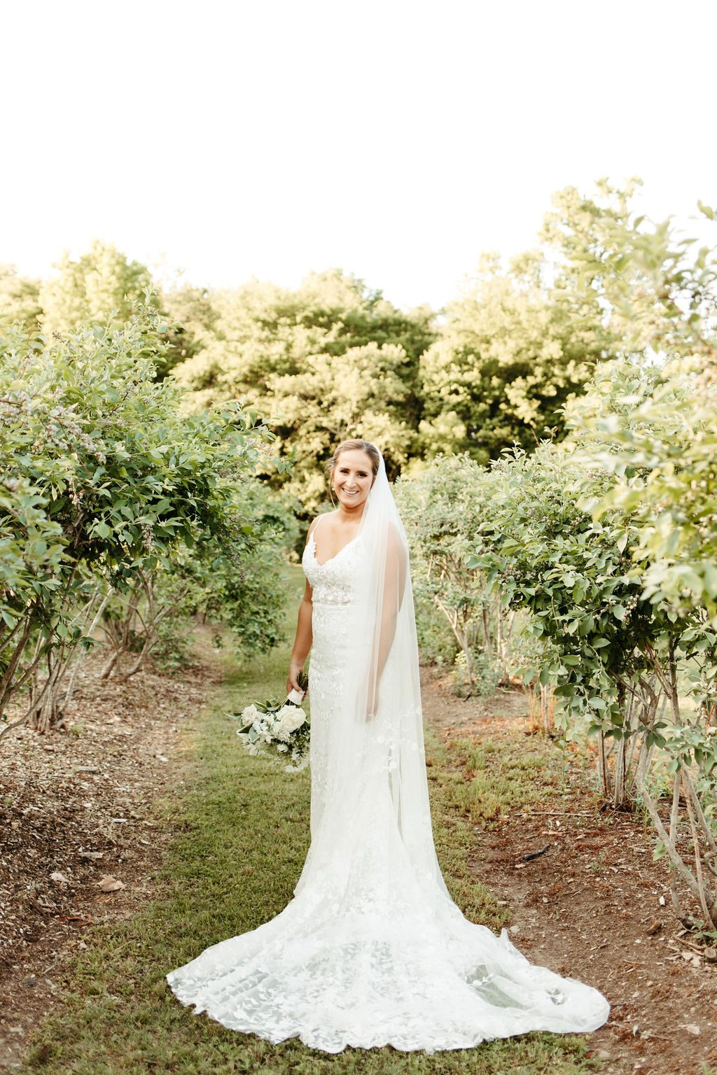 Dreamersandlovers Wedding Veil Susie